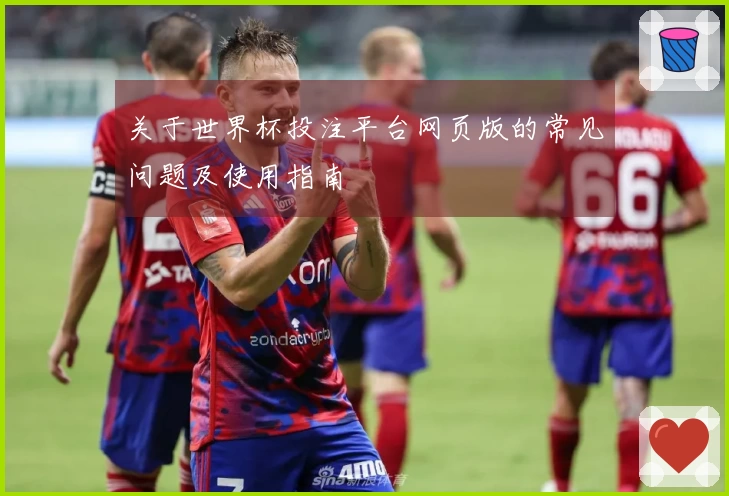 关于世界杯投注平台网页版的常见问题及使用指南