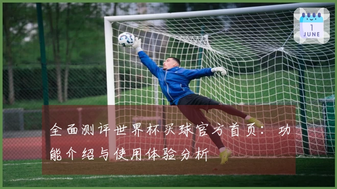 全面测评世界杯买球官方首页：功能介绍与使用体验分析