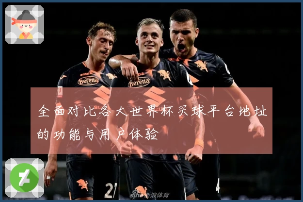 全面对比各大世界杯买球平台地址的功能与用户体验