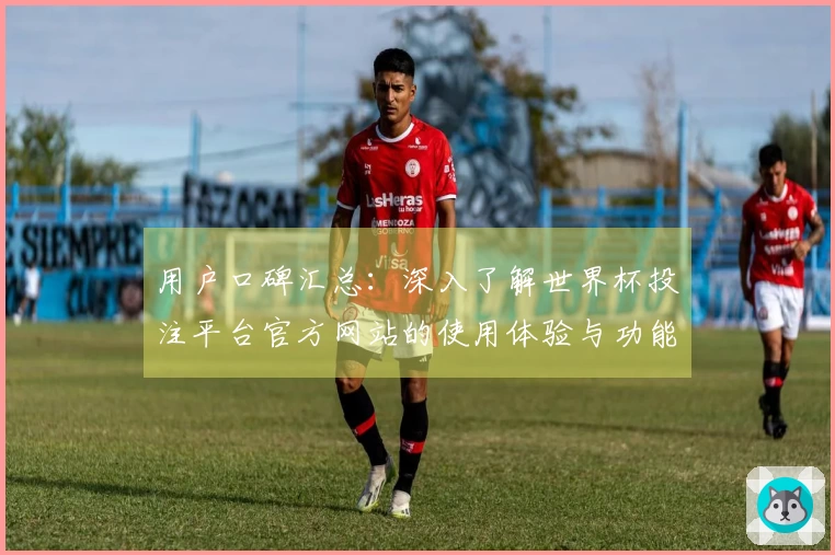 用户口碑汇总：深入了解世界杯投注平台官方网站的使用体验与功能介绍
