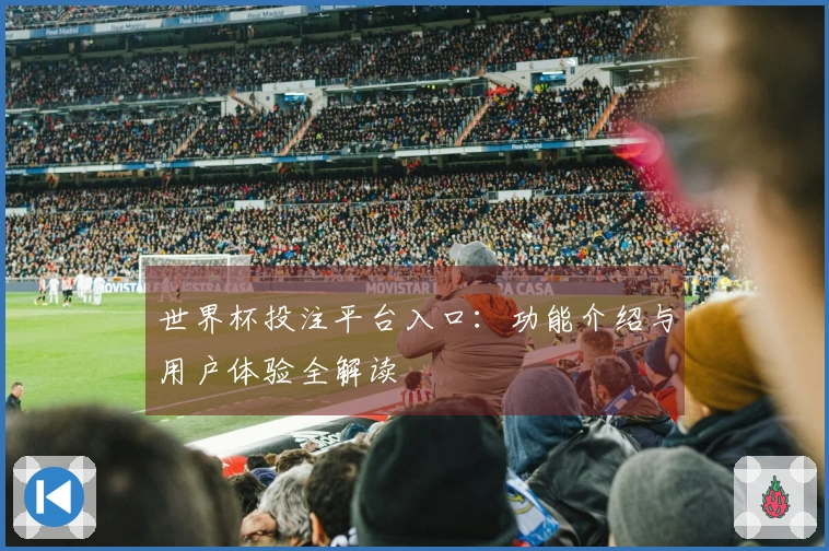 世界杯投注平台入口：功能介绍与用户体验全解读