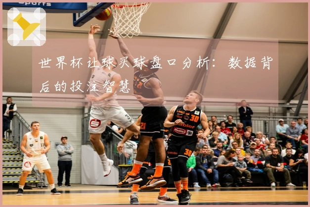 世界杯让球买球盘口分析：数据背后的投注智慧