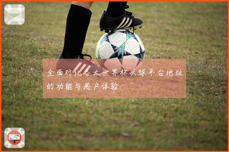 全面对比各大世界杯买球平台地址的功能与用户体验