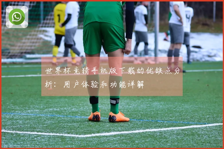 世界杯竞猜手机版下载的优缺点分析：用户体验和功能详解