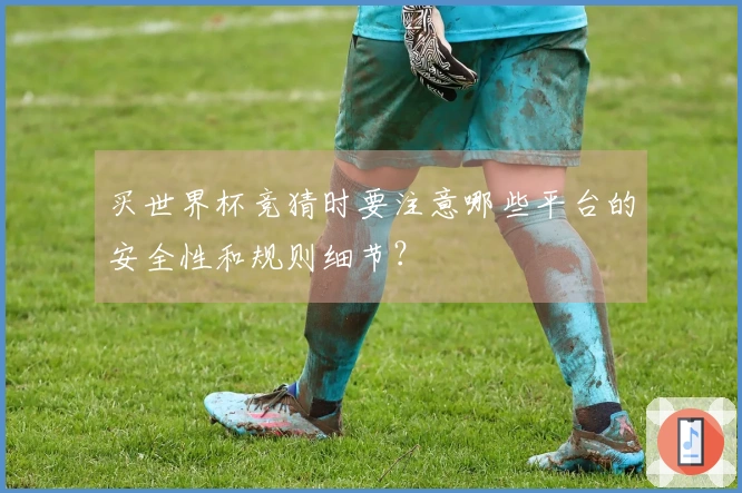 买世界杯竞猜时要注意哪些平台的安全性和规则细节？