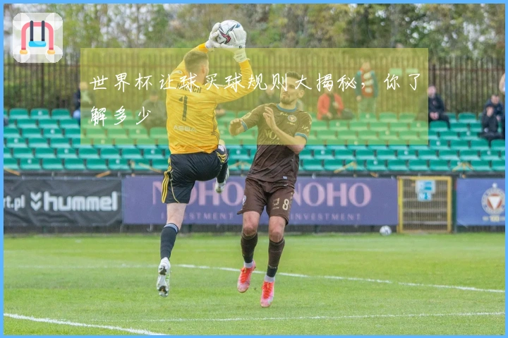 世界杯让球买球规则大揭秘，你了解多少