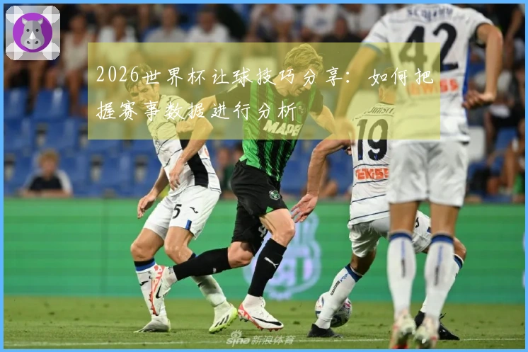 2026世界杯让球技巧分享：如何把握赛事数据进行分析