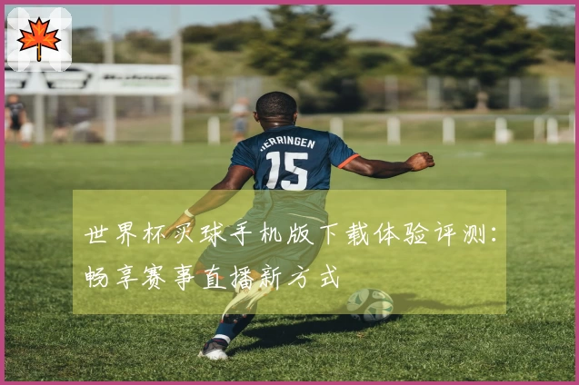 世界杯买球手机版下载体验评测：畅享赛事直播新方式