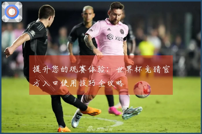 提升您的观赛体验：世界杯竞猜官方入口使用技巧全攻略