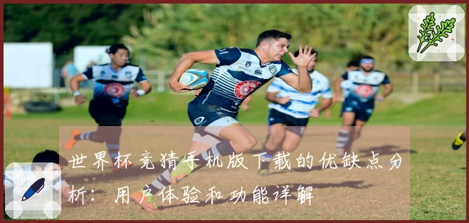 世界杯竞猜手机版下载的优缺点分析:用户体验和功能详解